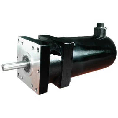 Planetary reducer motor